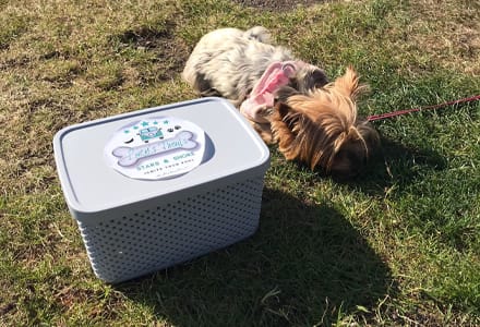 Luxury Volkswagen Campervan Hire. We tailor each booking to suit you and your requirements, from helping to plan solo travel trips through to families, groups and romantic getaways. We hear that van life honeymoons are just the best. We offer a diverse range of packages where you can just take the keys and go through to a more luxury bespoke service. Full orientation provided.